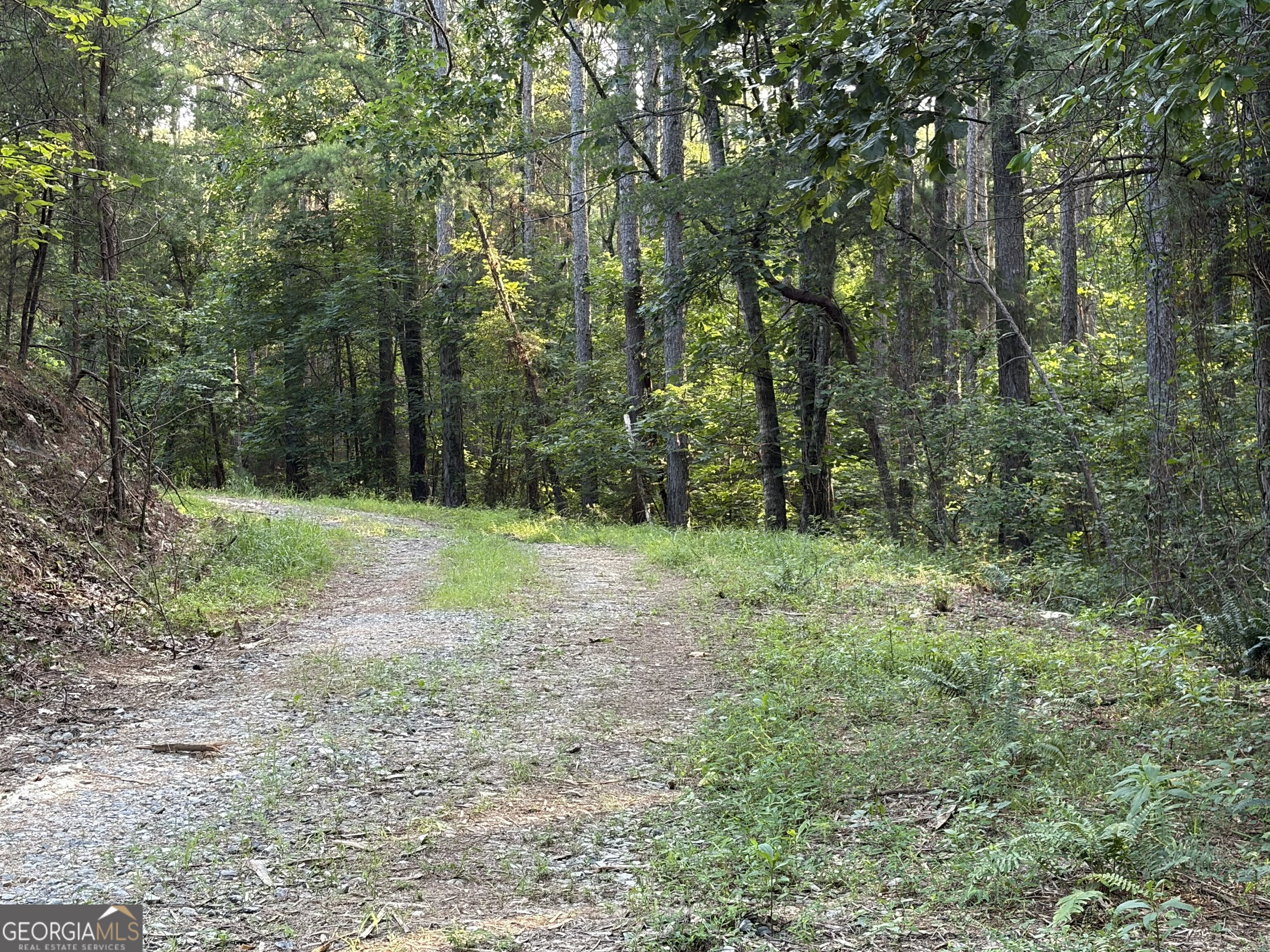 0 Fairmount Highway # P Property Photo 9