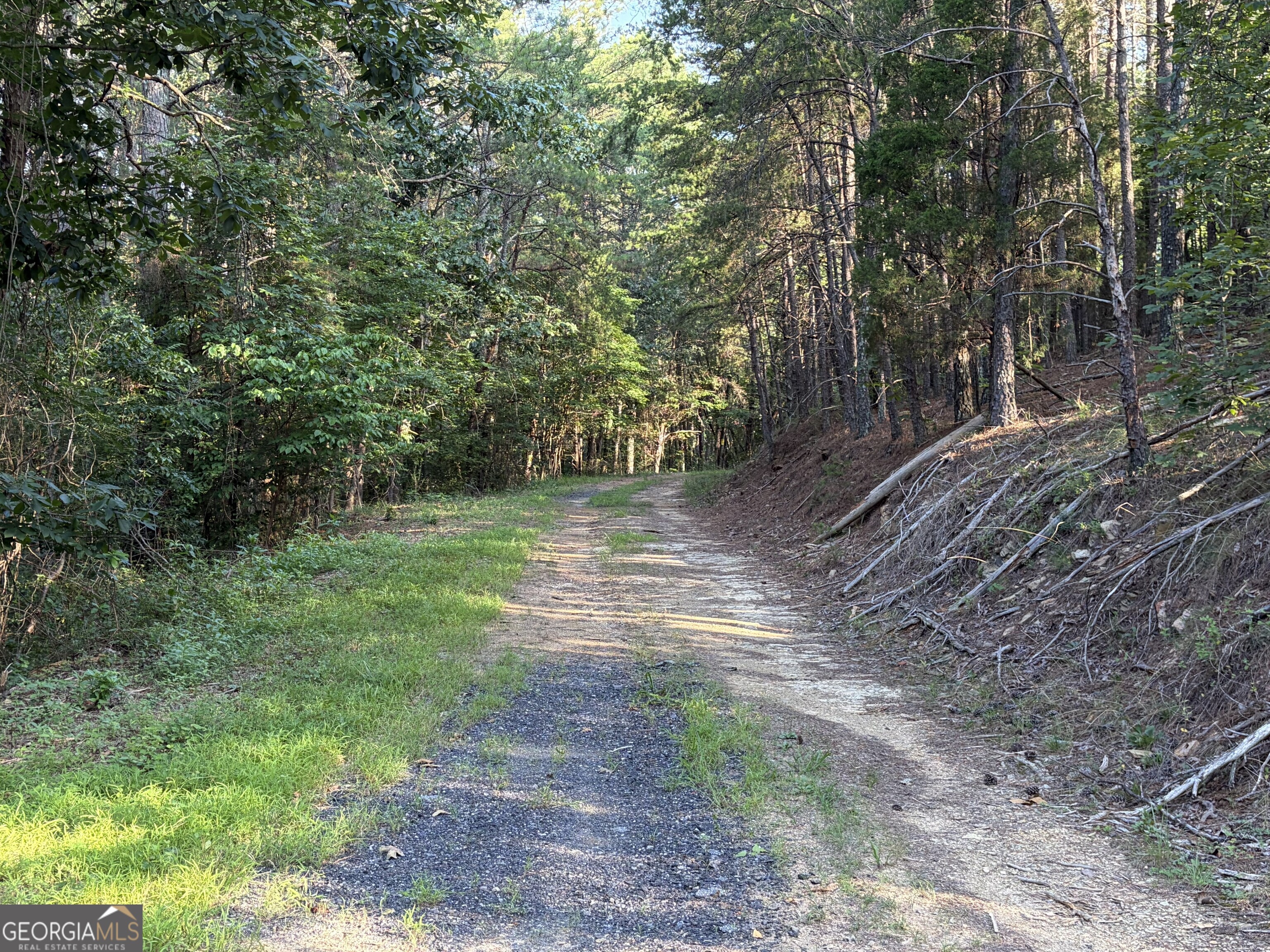 0 Fairmount Highway # P Property Photo 12