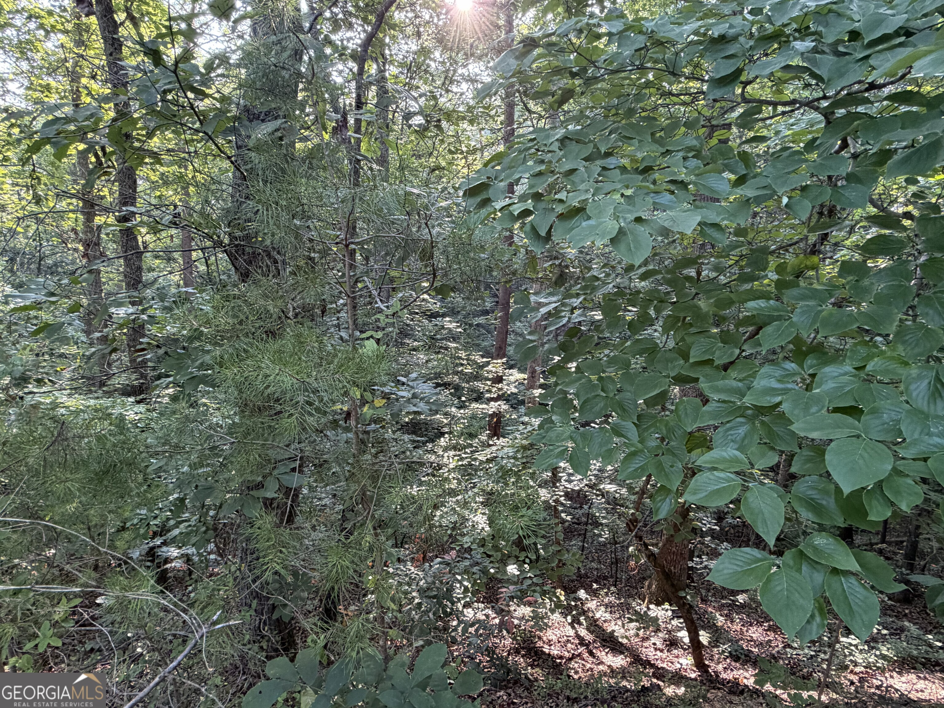 0 Fairmount Highway # P Property Photo 14
