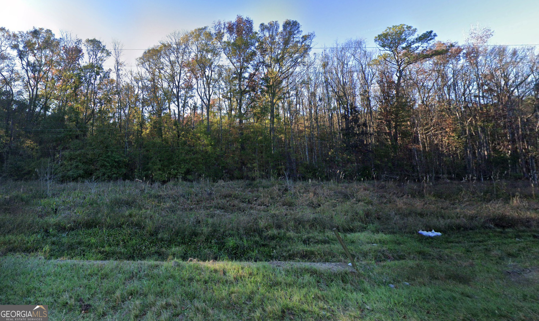 27 Acres W S Highway 17 Property Photo 2