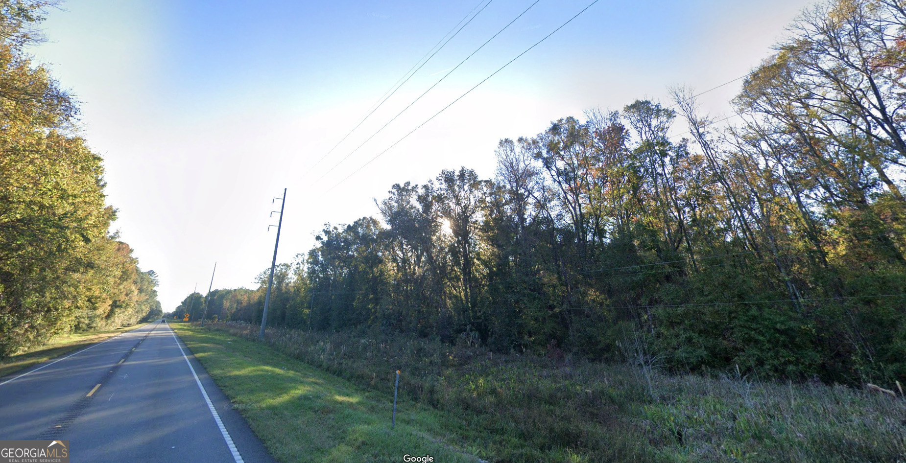 27 Acres W S Highway 17 Property Photo 3