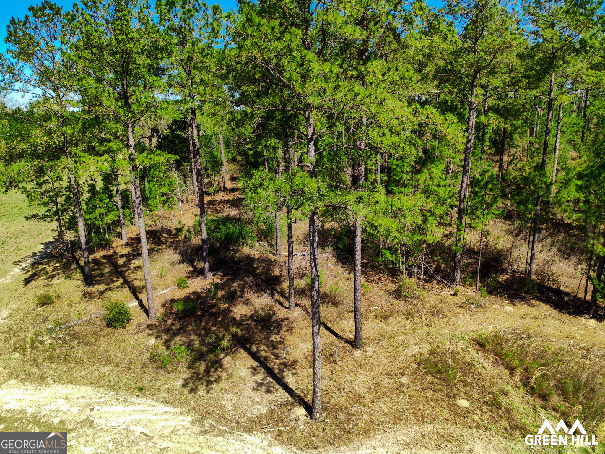 0 Americus Highway Property Photo 1