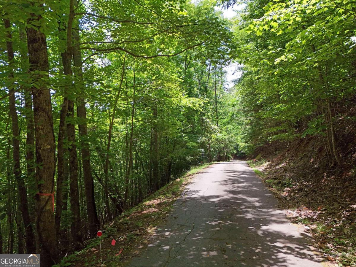 Lot 30 Hidden Summit Road Property Photo 1