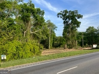 51+/-ac S Hwy 431 Property Photo