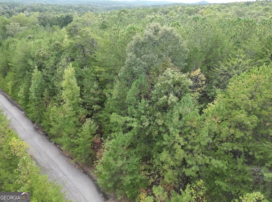 53 Skyline Drive Property Photo 1