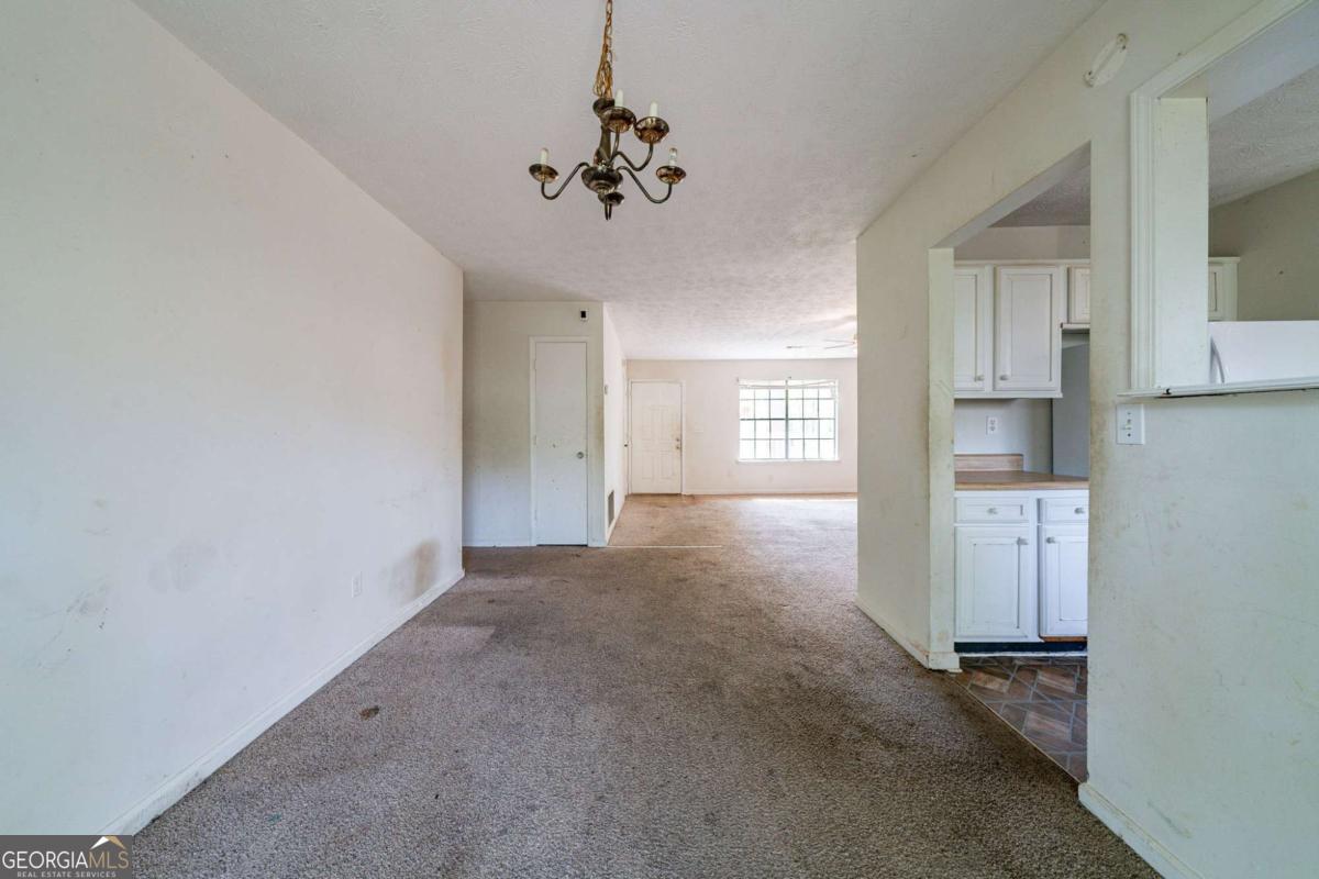 5255 Biffle Downs Road Property Photo 19