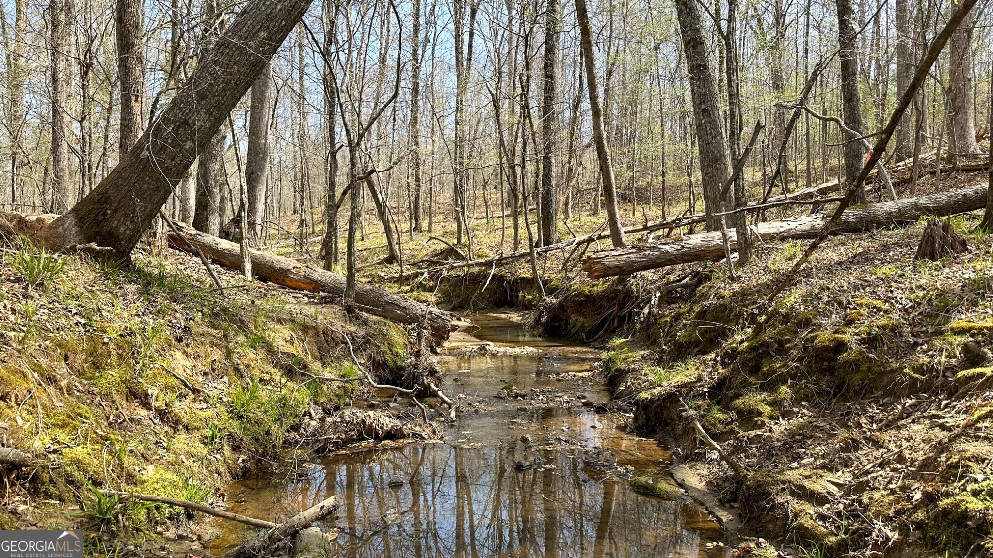 0 Stallings Road Property Photo 1