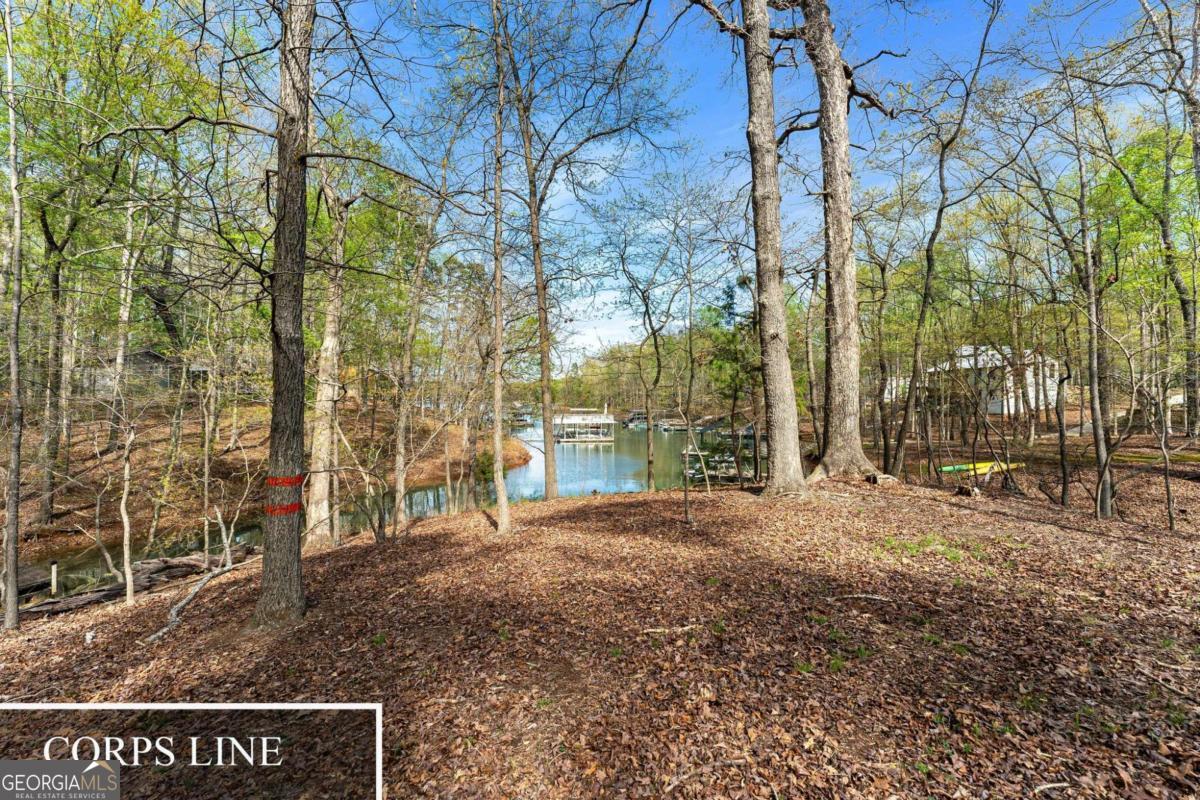 375 Rue Cezzan Property Photo 10