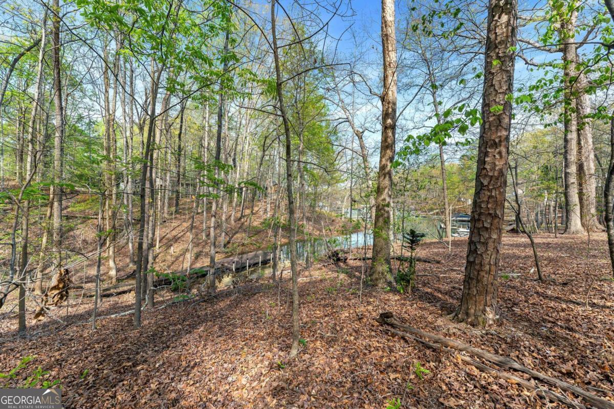 375 Rue Cezzan Property Photo 15