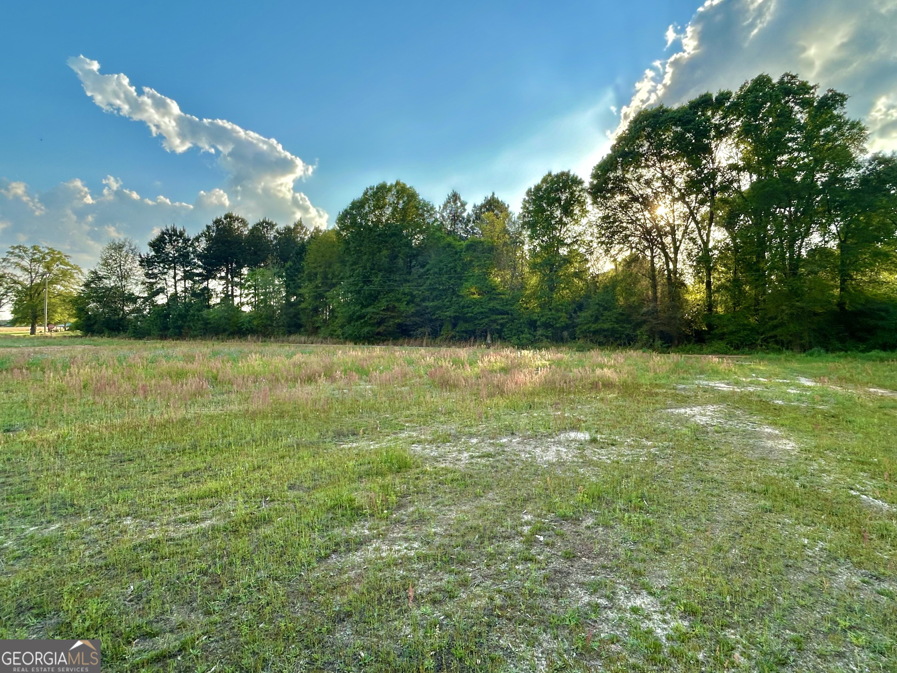 Wilcox County Real Estate Listings Main Image