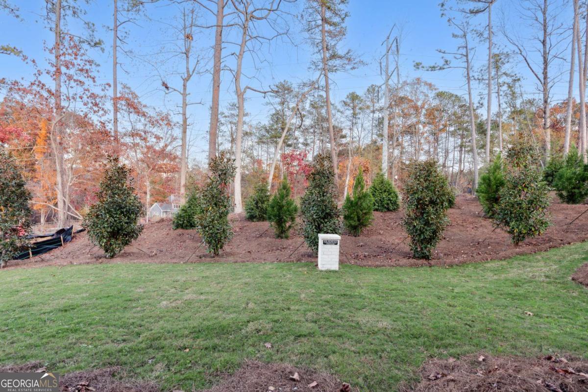 2340 Ellis Mountain Drive Property Photo 7