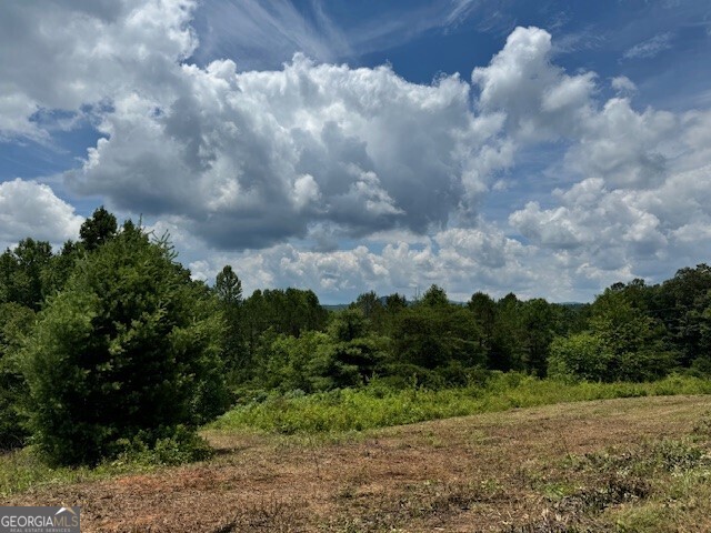 0 Log Cabin Property Photo 1