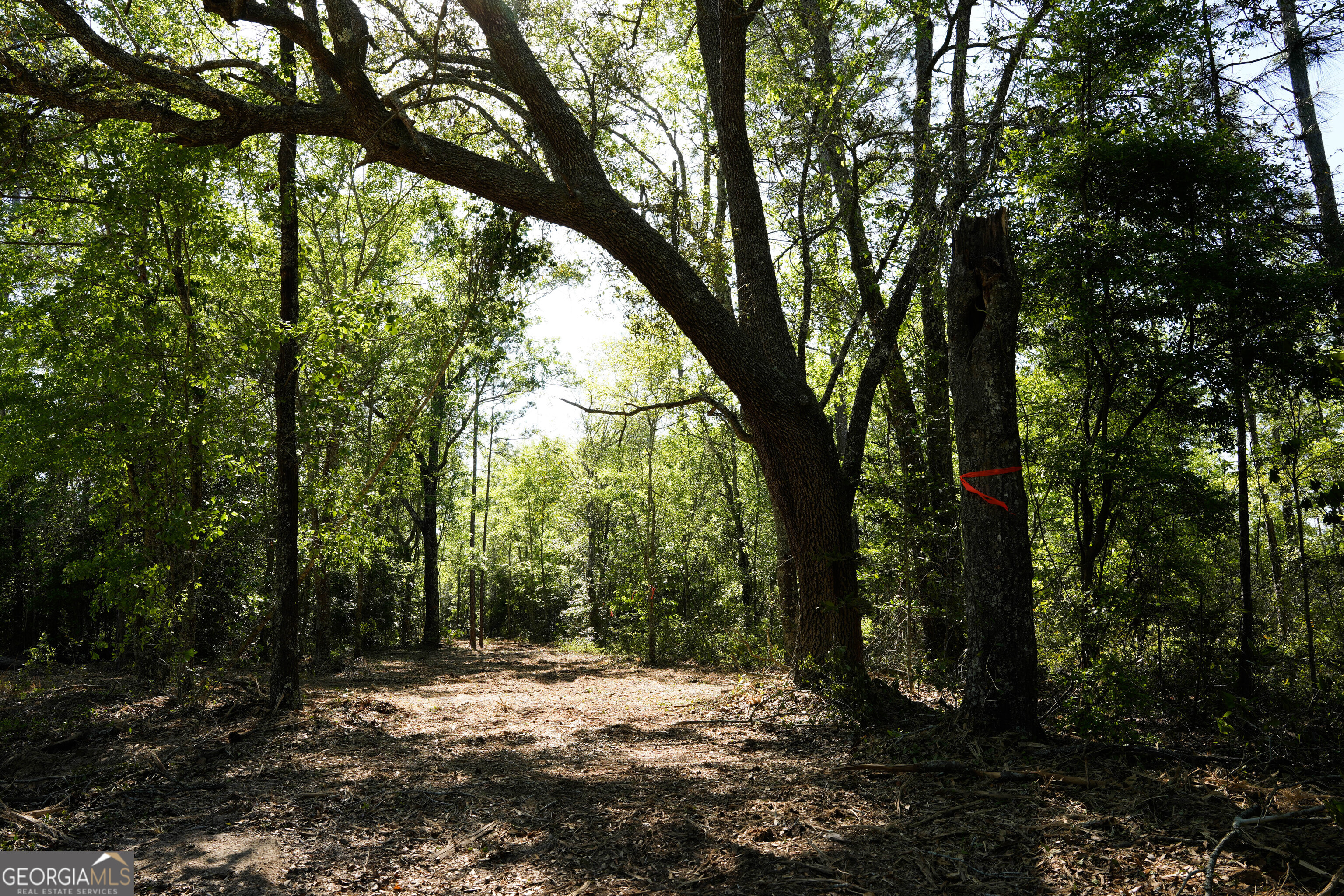 0 Floyd Road Lot 9 Property Photo 1