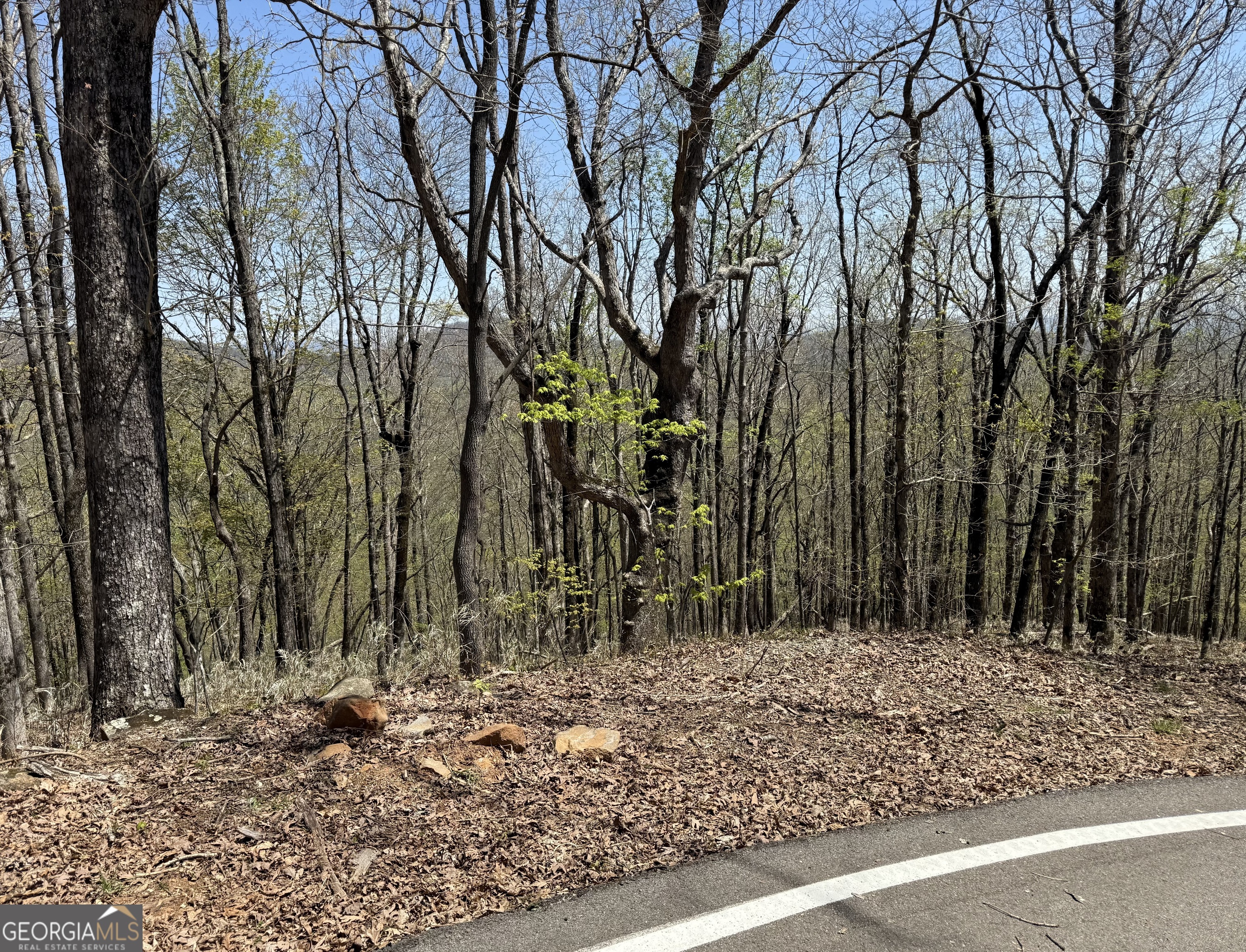7248 Ridgeview Drive Property Photo 1