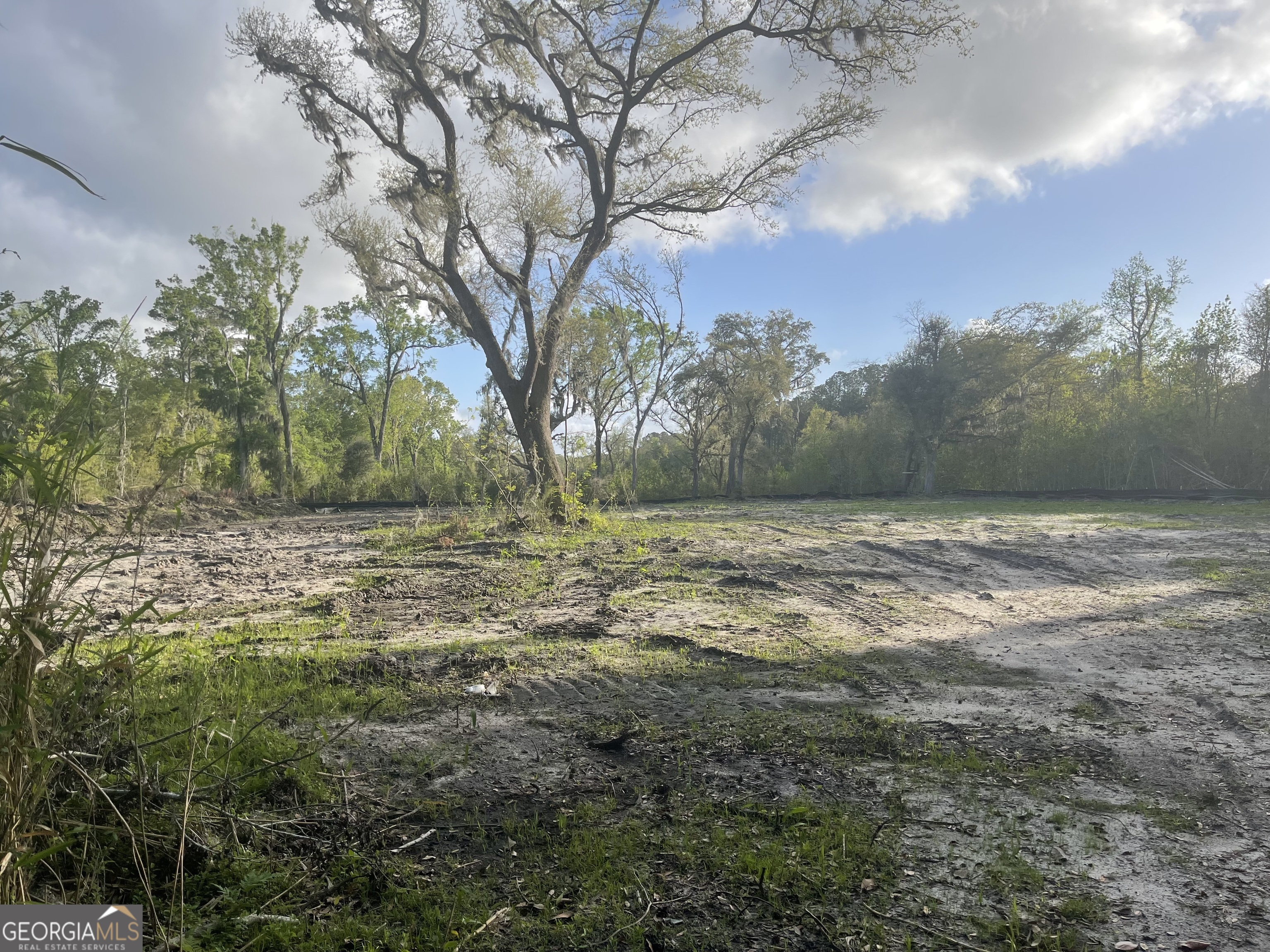0 Pine Barren Road Property Photo 1
