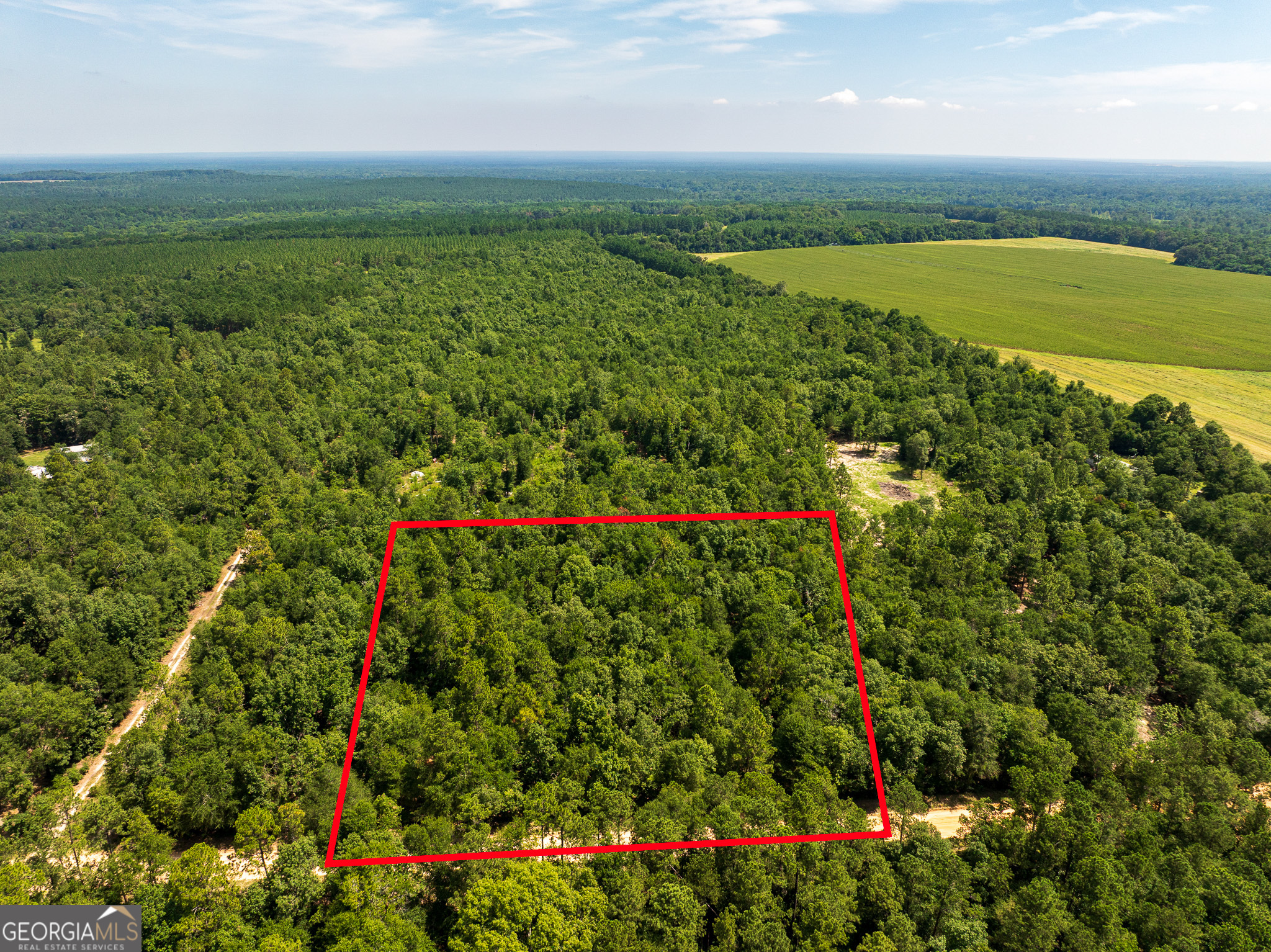 4 Acres Allen Chapel Road Property Photo 1