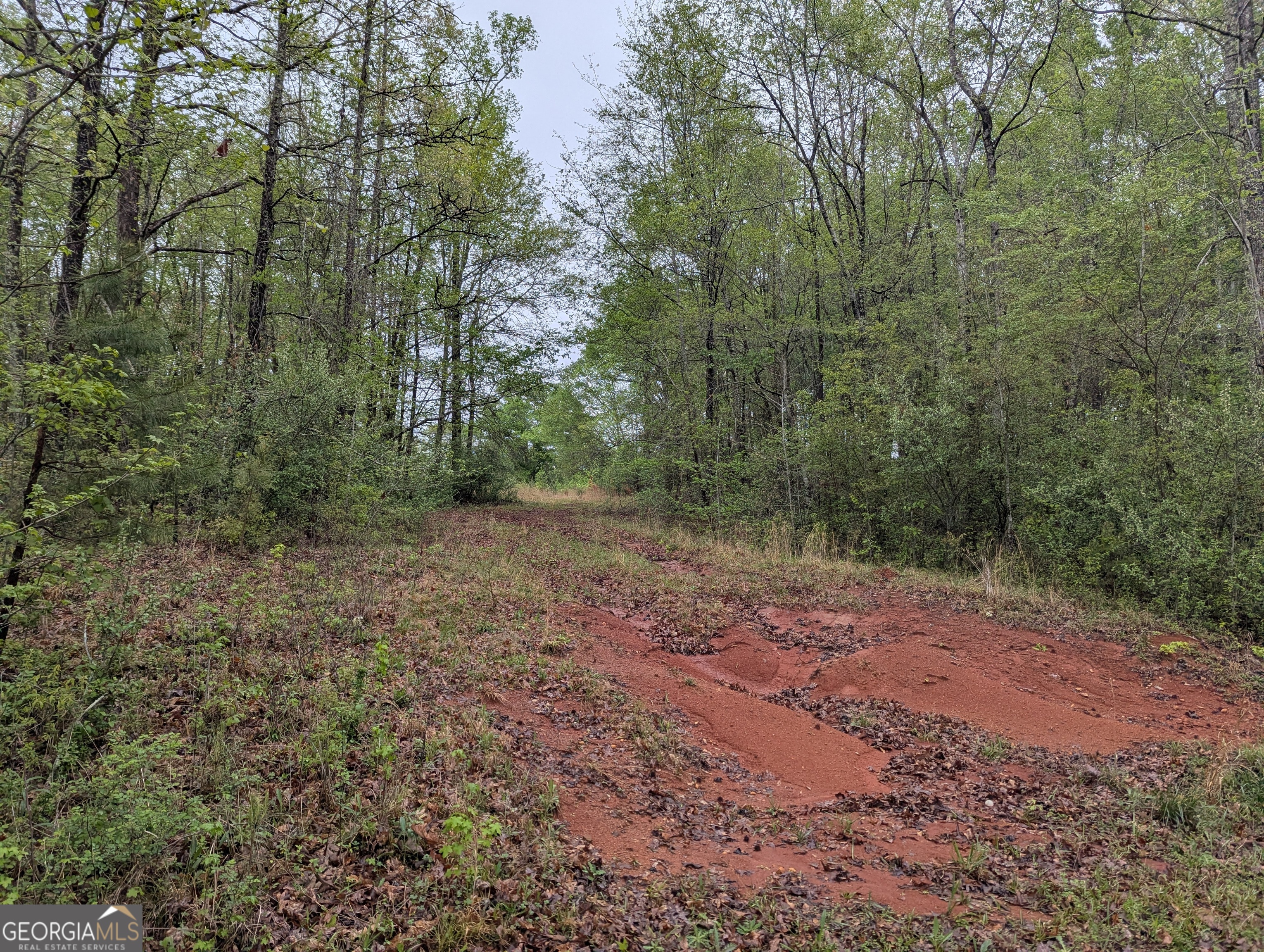 0 Fischer Spur Road Property Photo 2