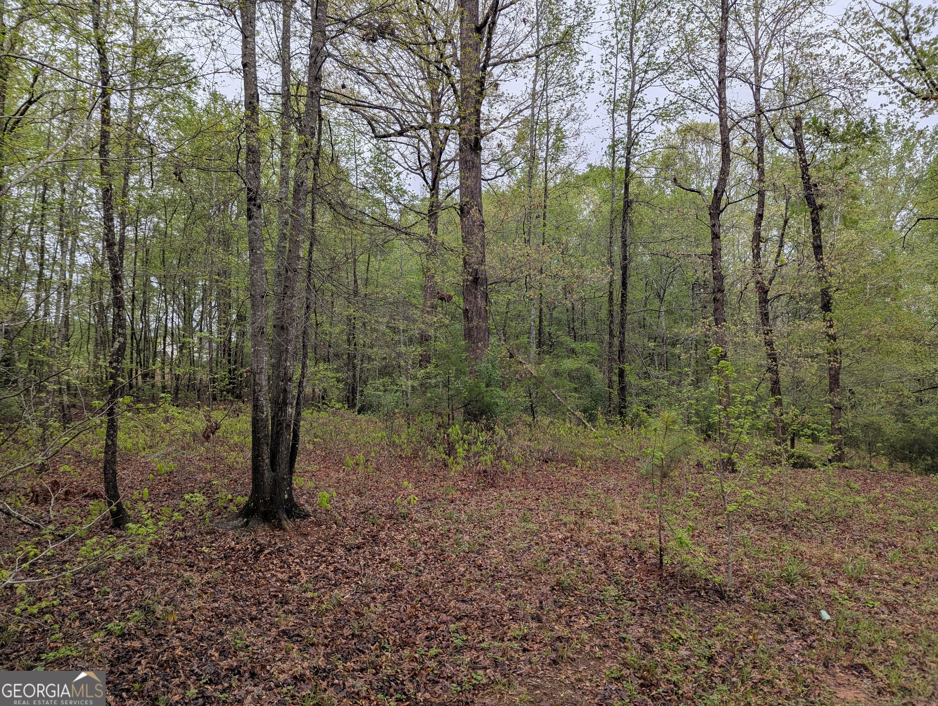 0 Fischer Spur Road Property Photo 3