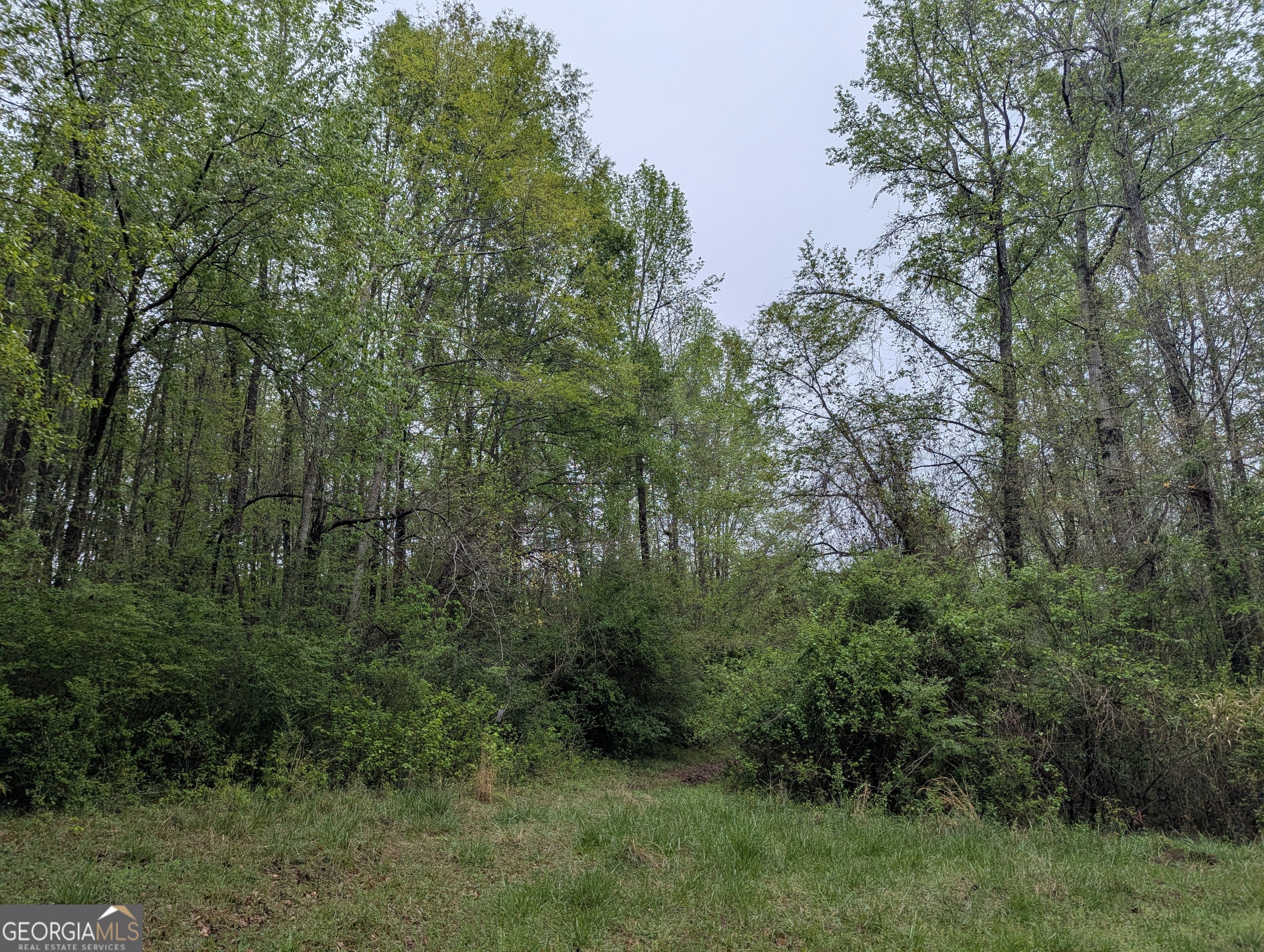 0 Fischer Spur Road Property Photo 4
