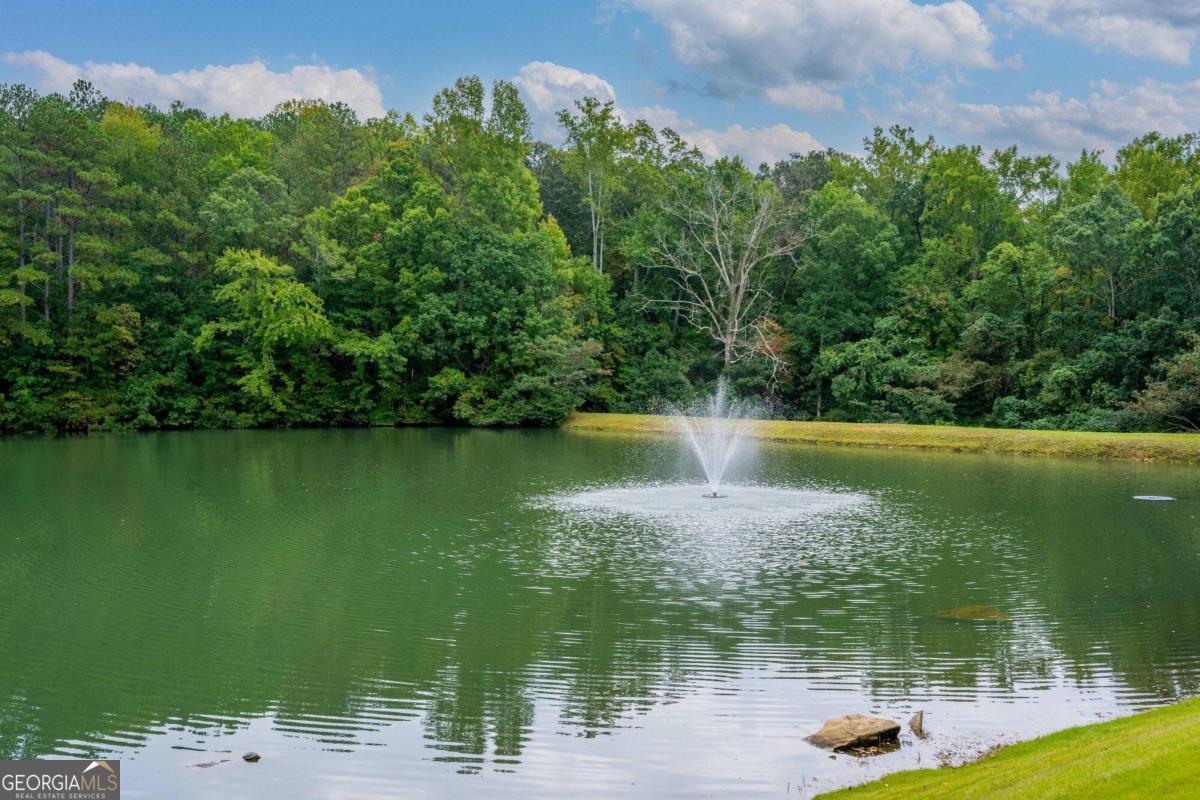 1835 Old Alabama Road Property Photo 3
