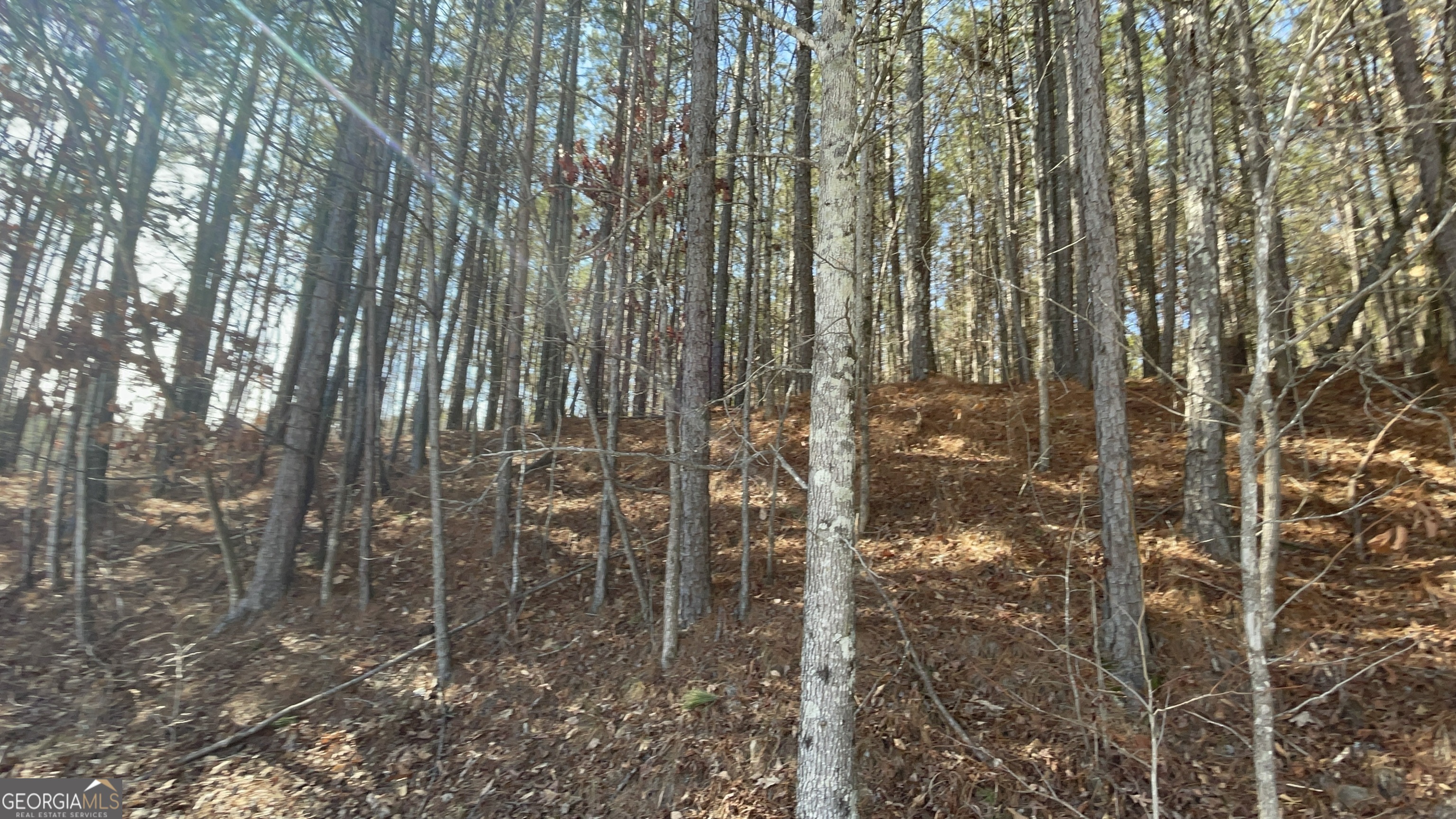 0 Shannon Parkway Property Photo 1
