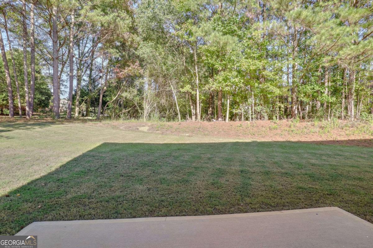 4066 Wild Orchid Lane Property Photo 17