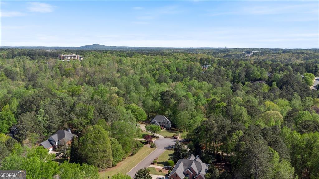 104 Kremer Falls Trace Property Photo 65