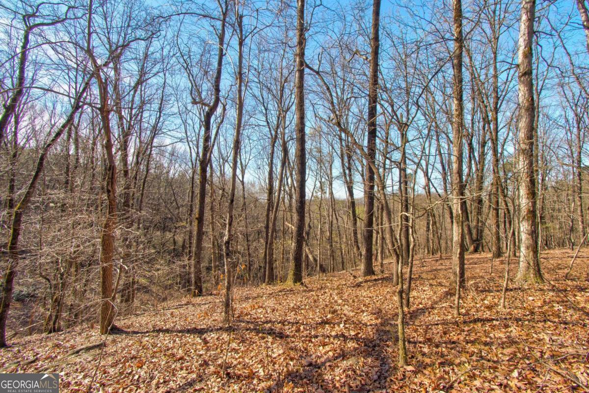 500 Chapman Ridge Lane Property Photo 1