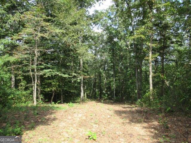101 Winding Road Lot 6 Property Photo 1