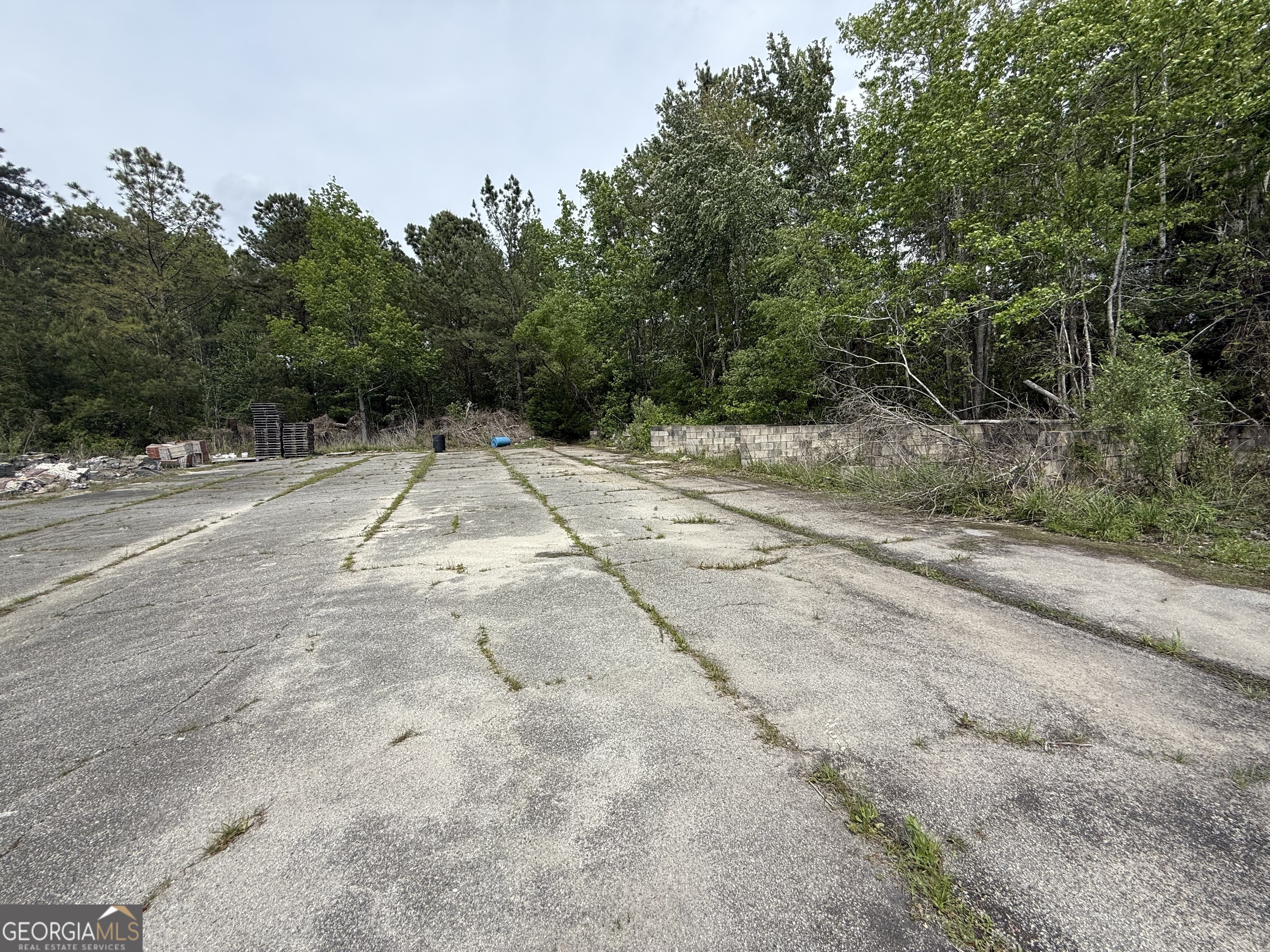 1801 Harrietts Bluff Road Property Photo 4