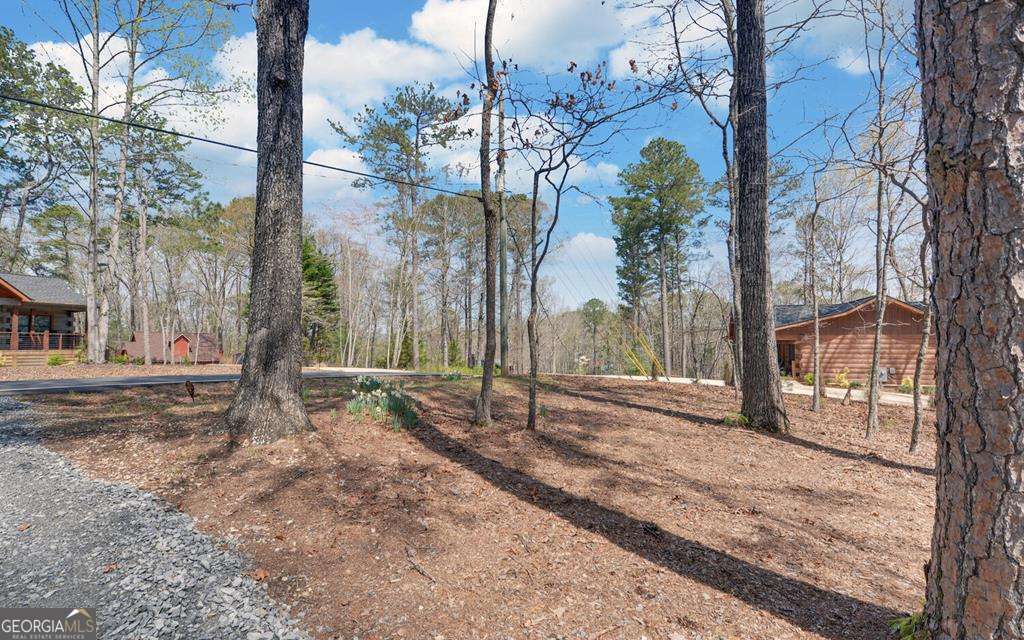 967 Lemmon Lane Property Photo 41