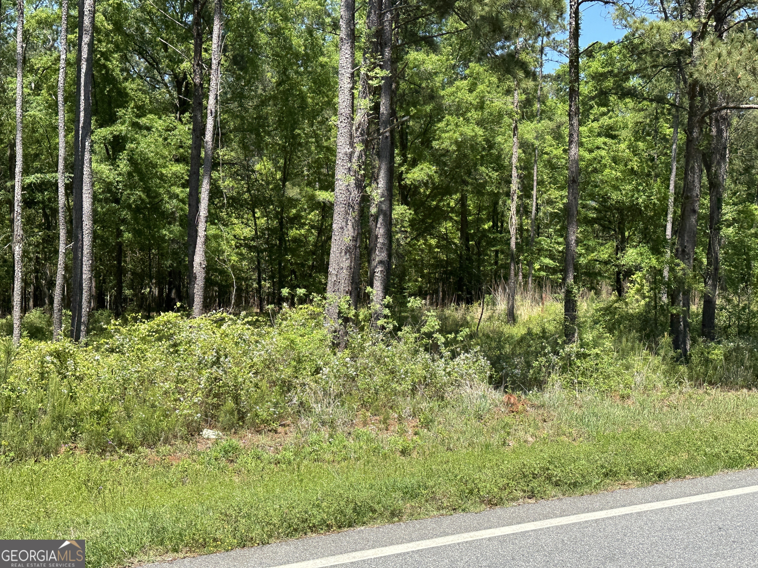 13059 E State Route 26 Road Property Photo 1
