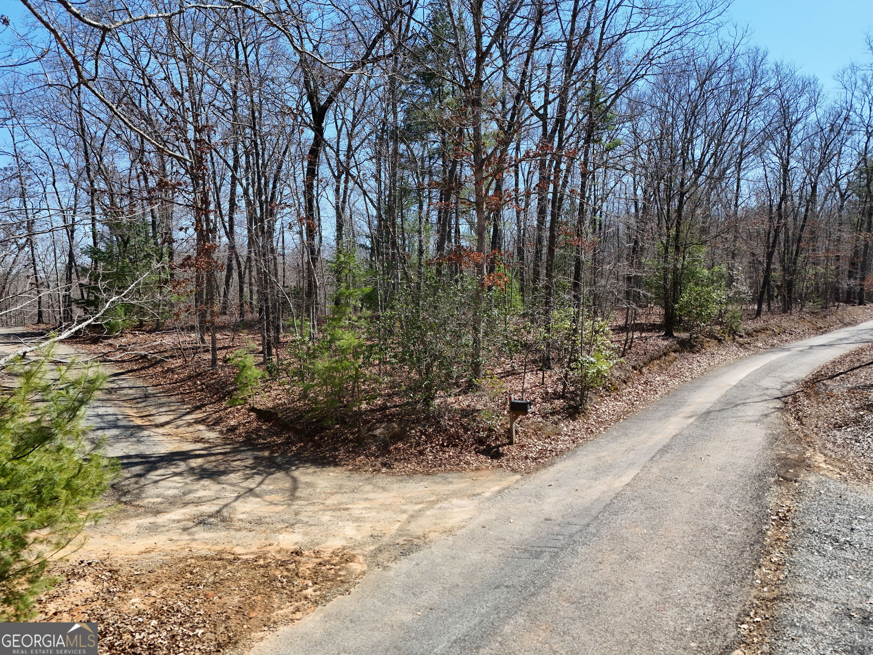 Lot 1 Robert Miller Lane Property Photo 1