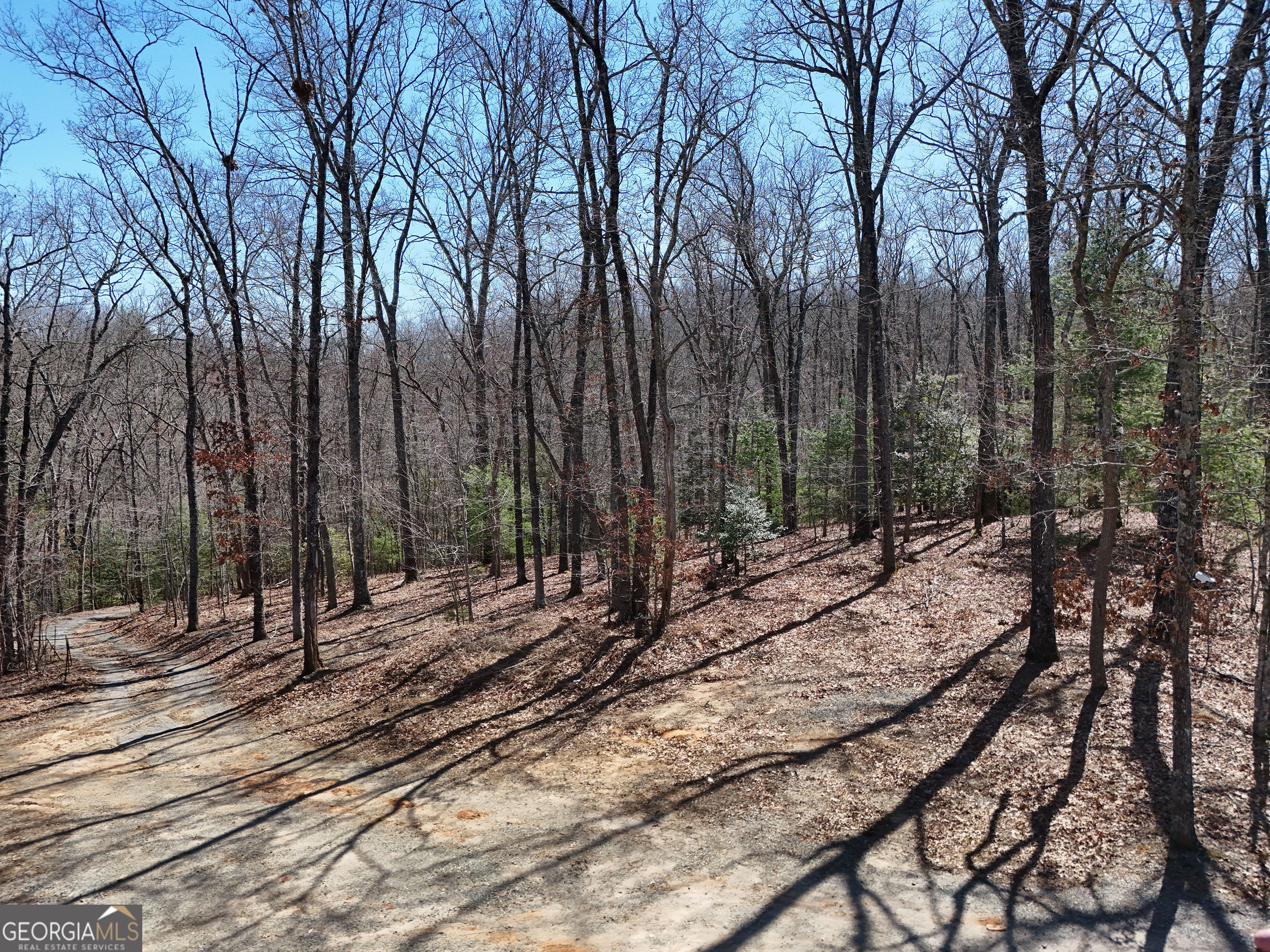 Lot 1 Robert Miller Lane Property Photo 2