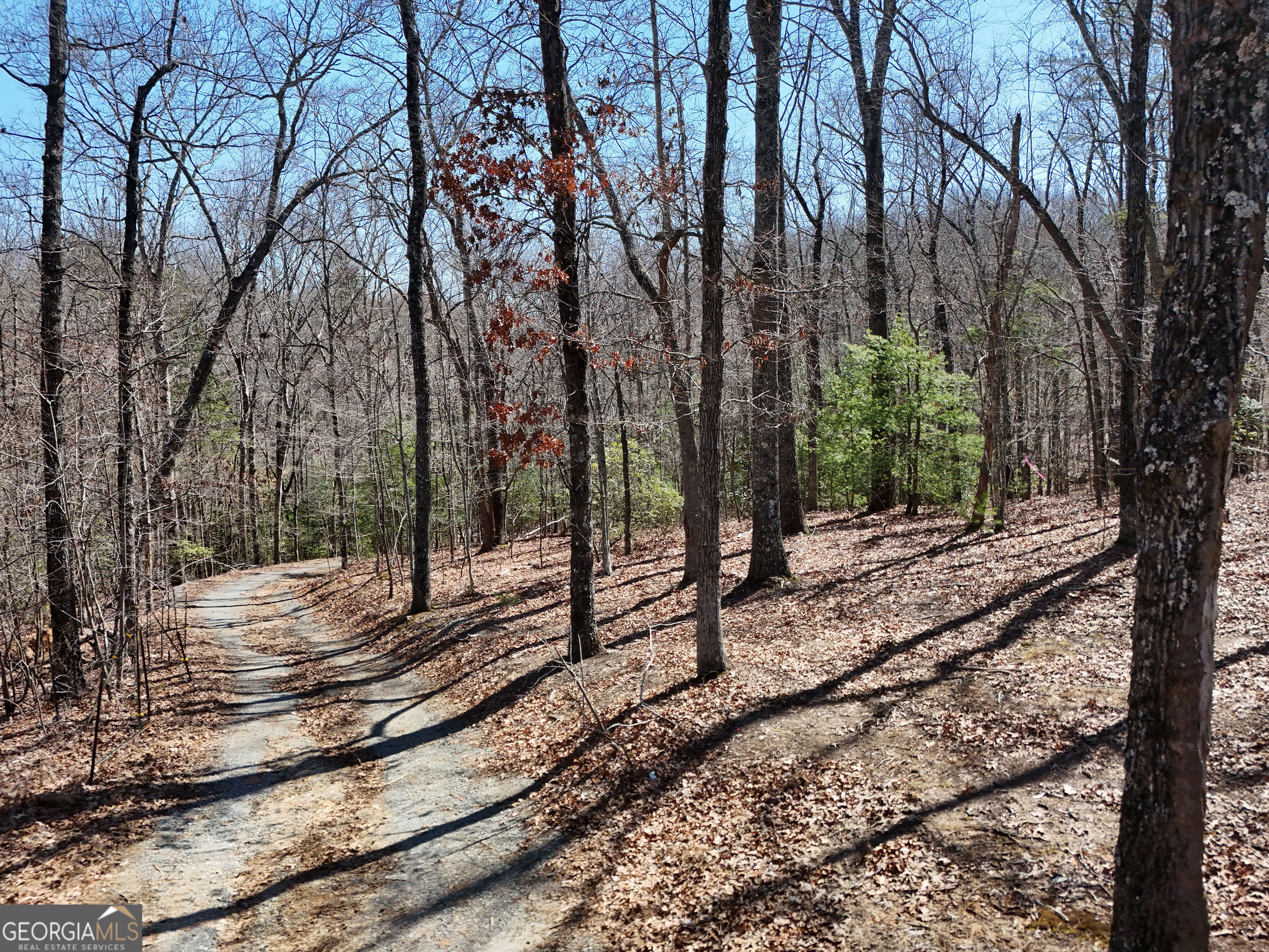 Lot 1 Robert Miller Lane Property Photo 3