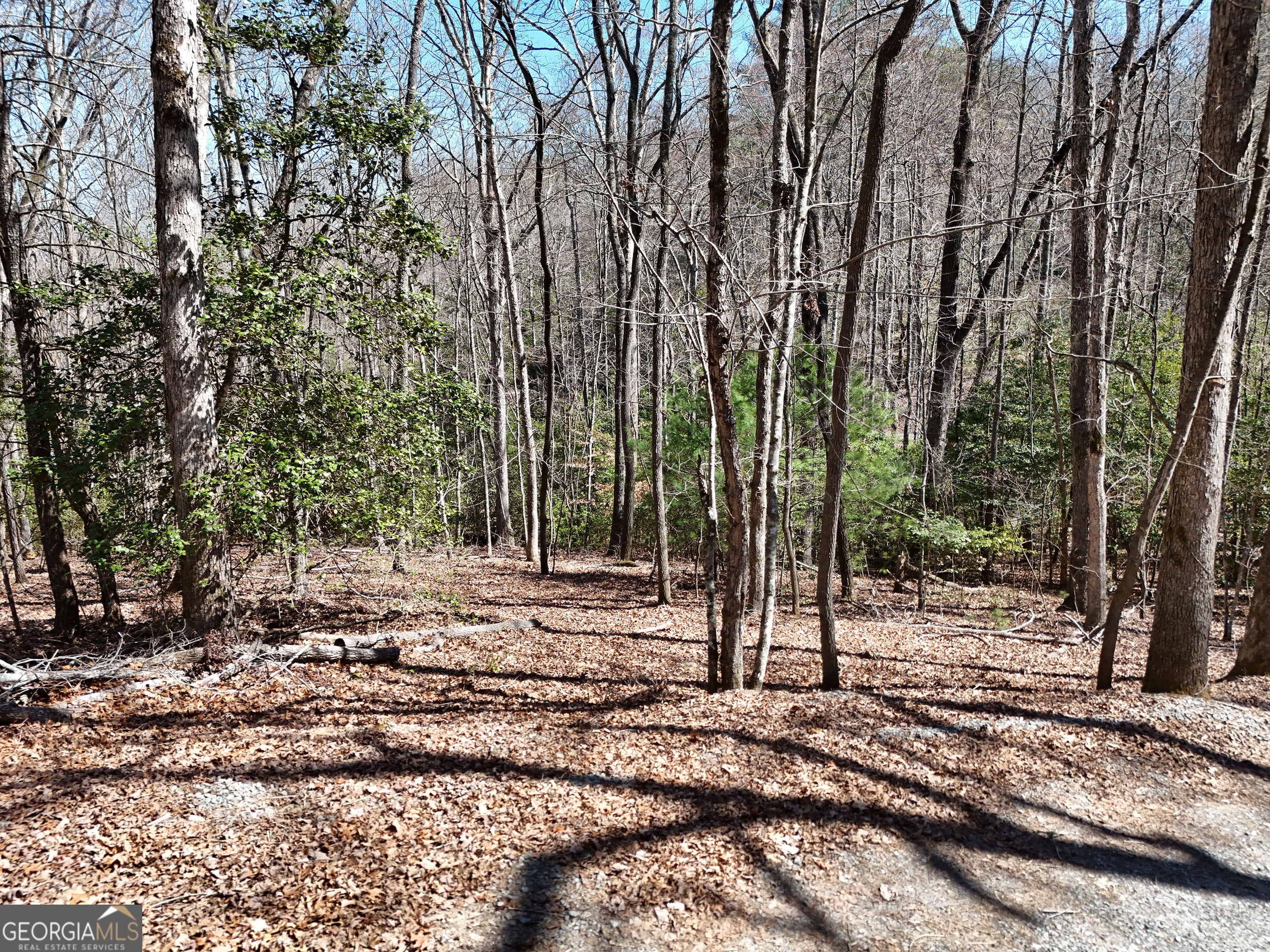 Lot 1 Robert Miller Lane Property Photo 4
