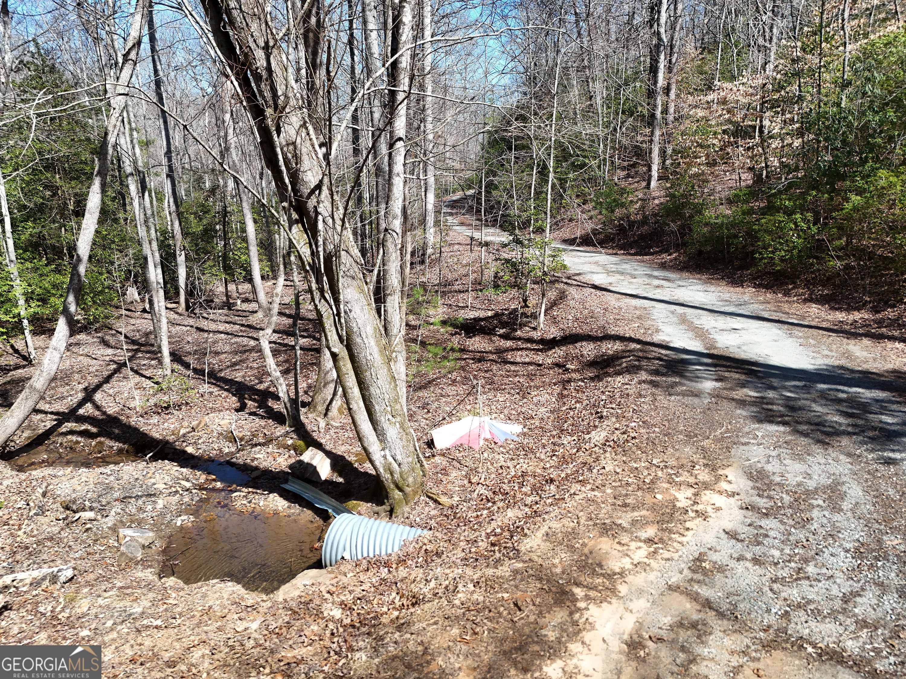Lot 1 Robert Miller Lane Property Photo 5