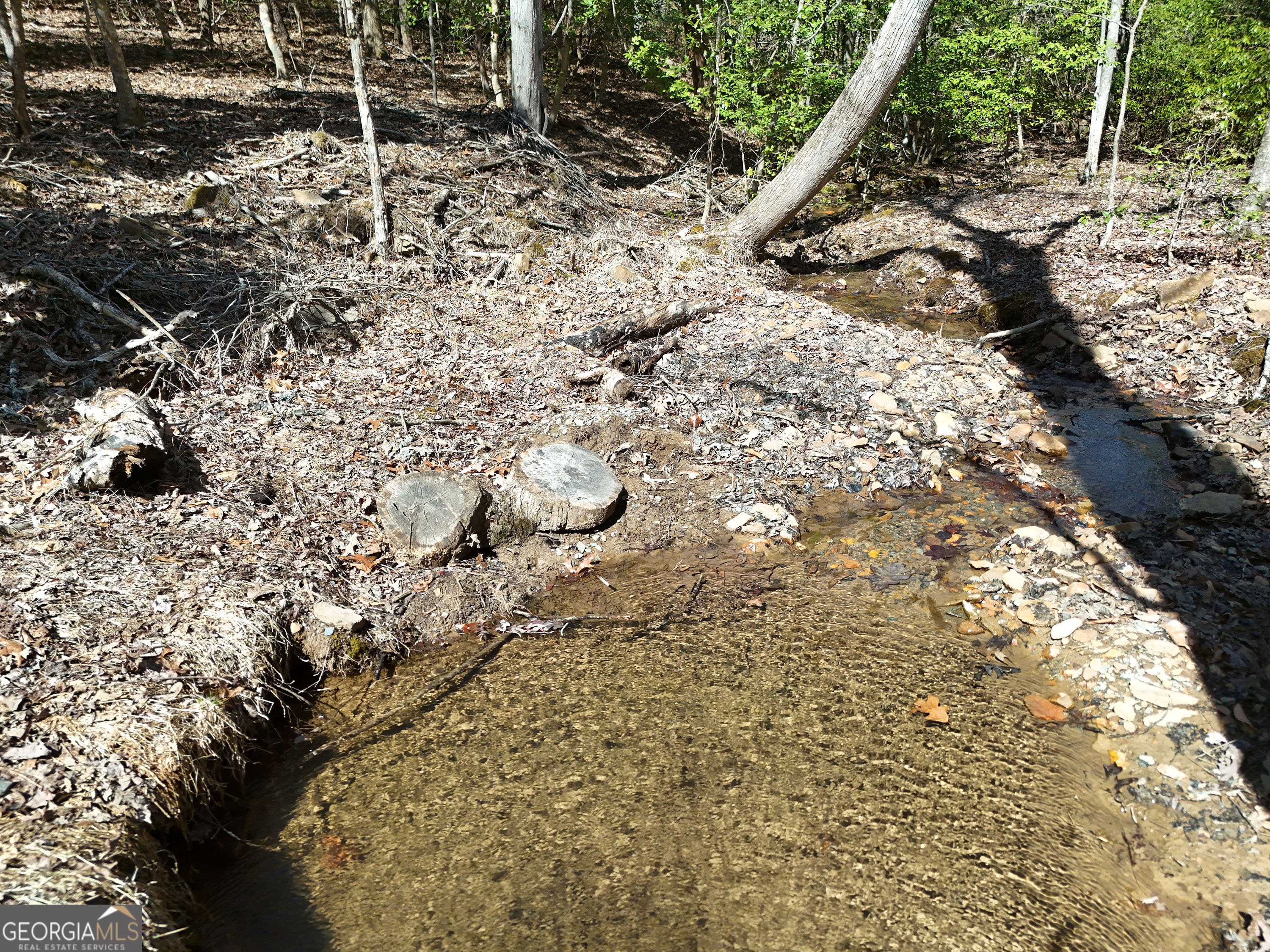 Lot 1 Robert Miller Lane Property Photo 6