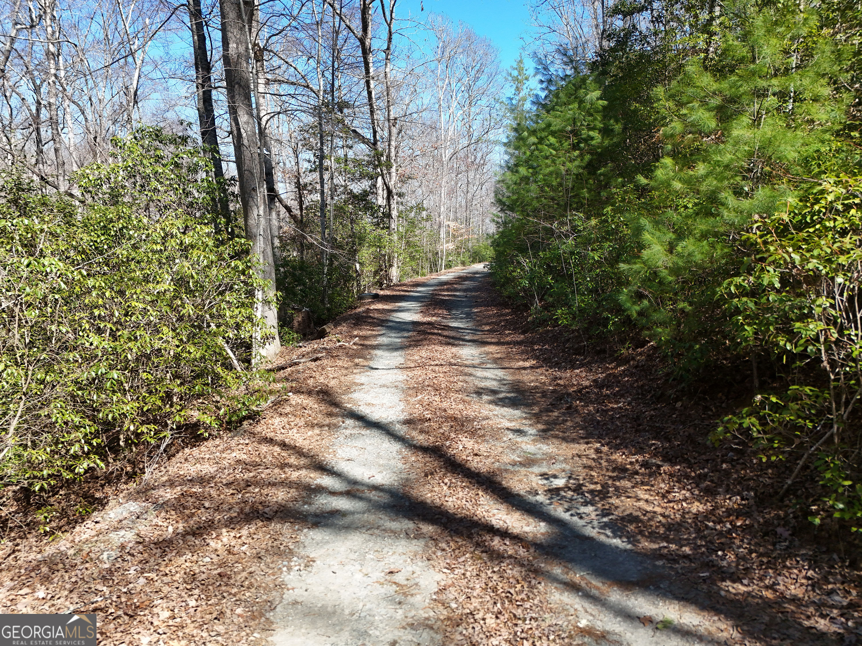 Lot 1 Robert Miller Lane Property Photo 7