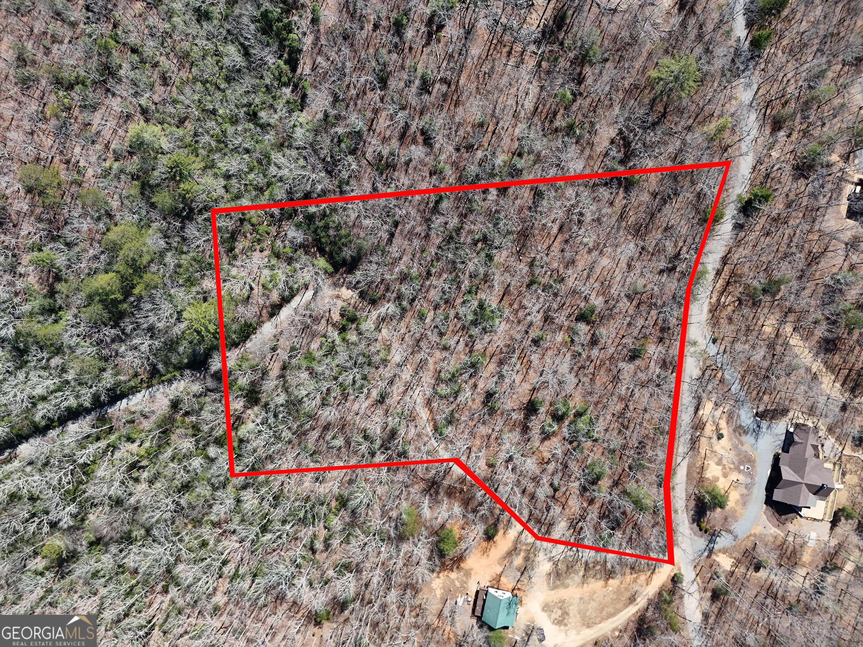 Lot 1 Robert Miller Lane Property Photo 14
