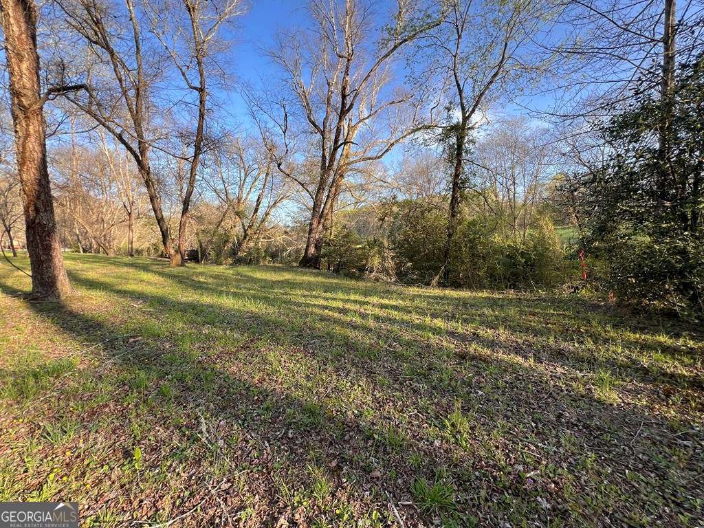 Lot 2 Preserve Road Property Photo 13