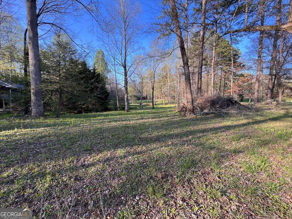 Lot 2 Preserve Road Property Photo 14