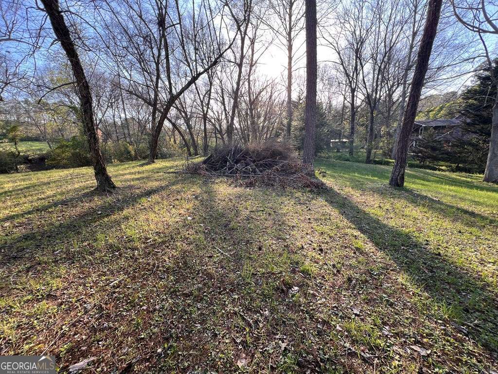 Lot 2 Preserve Road Property Photo 19