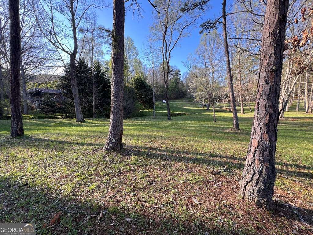 Lot 2 Preserve Road Property Photo 20