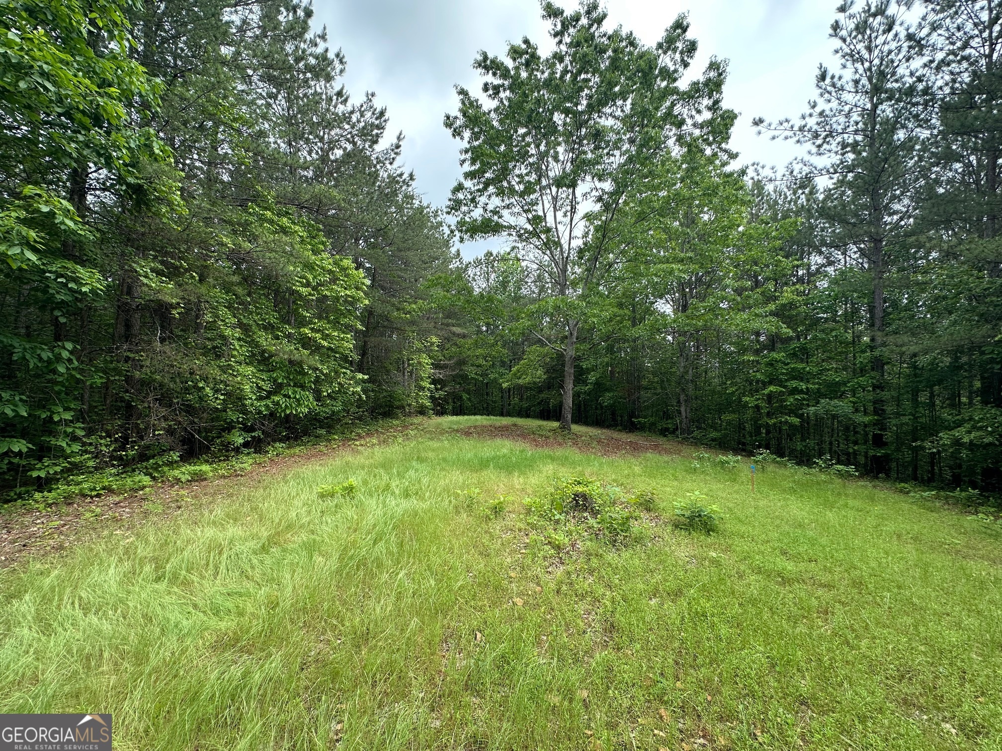 6.5-/+ Larmon Forks Property Photo 1