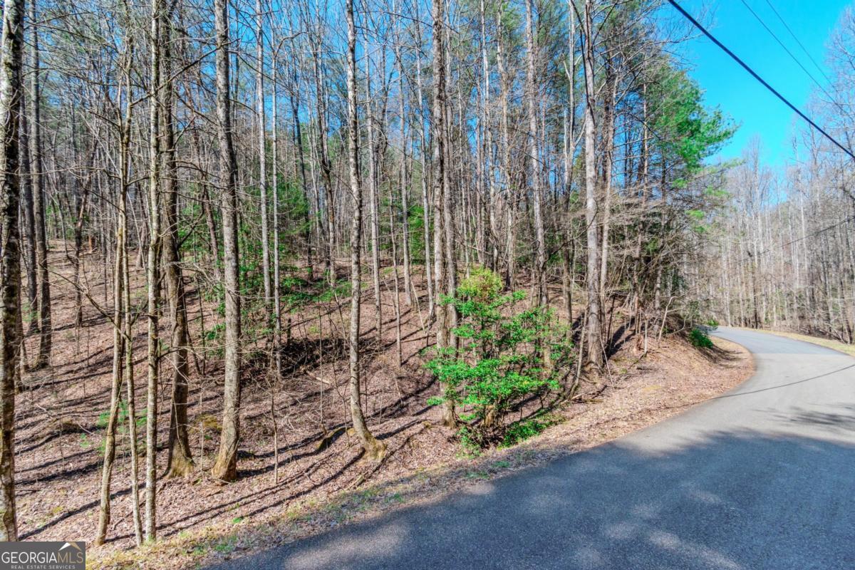 Lot 694 S Satsuma Court Property Photo 1