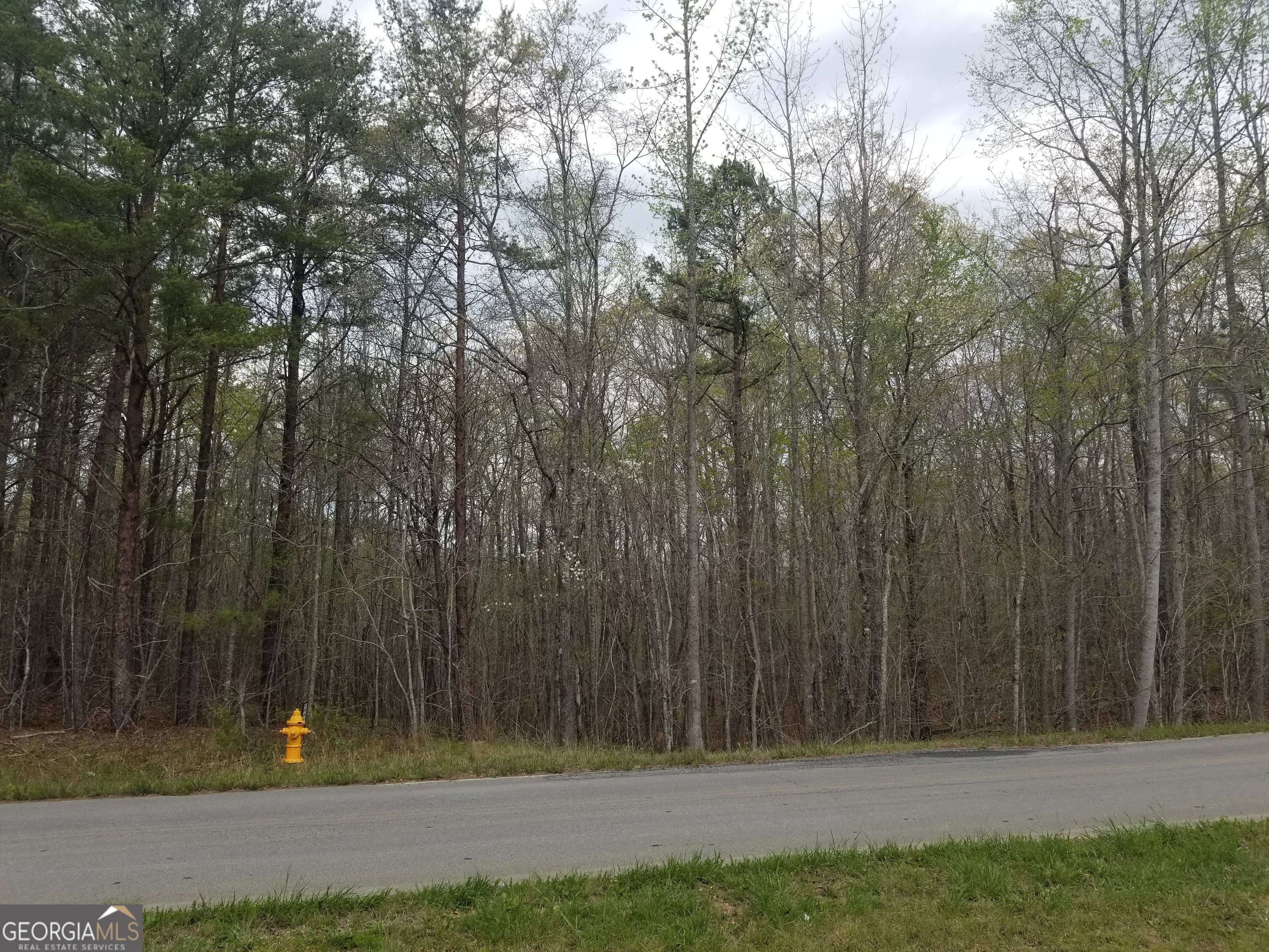 0 Susie Pope Road Property Photo 1