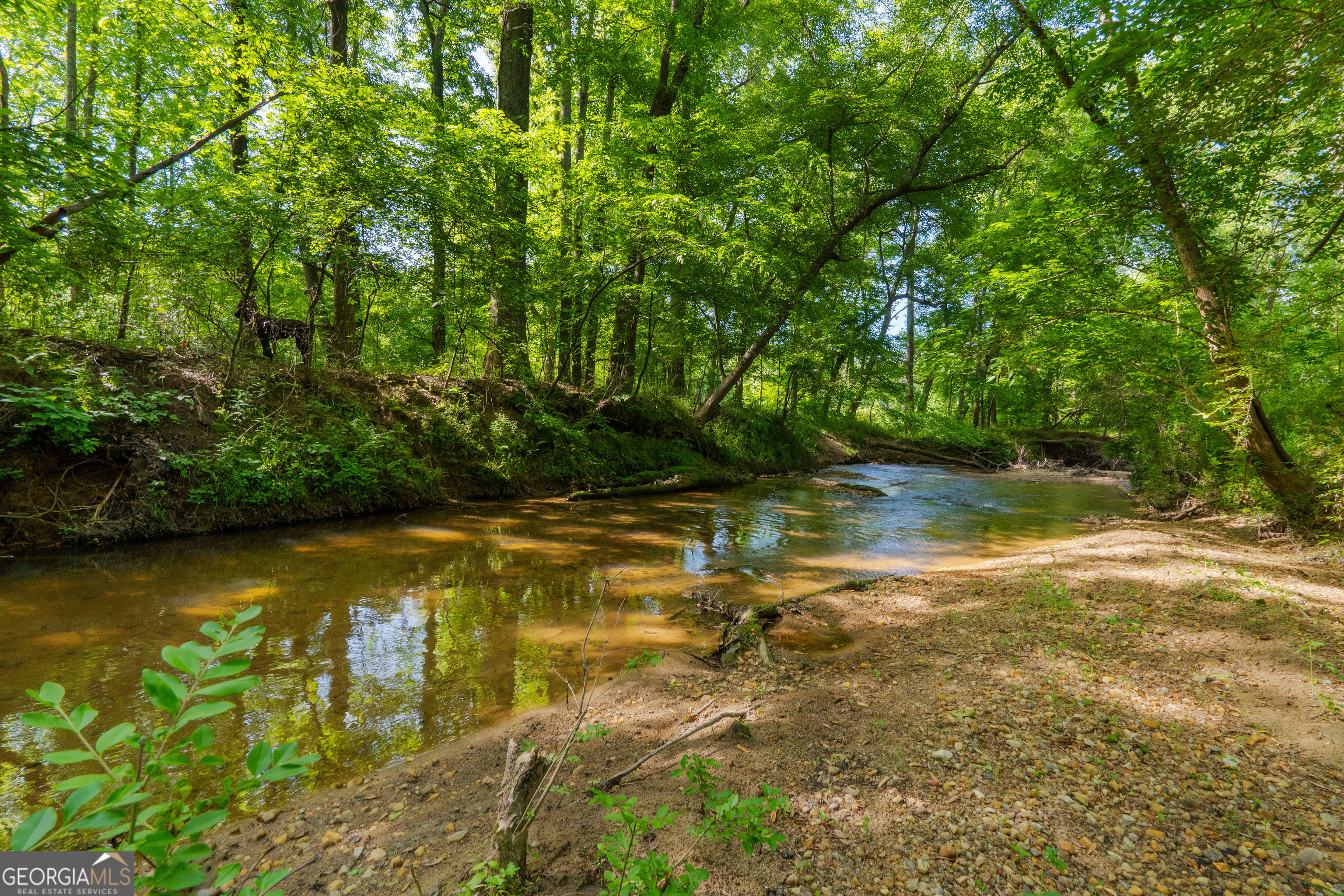 4383 Pool Road Property Photo 9