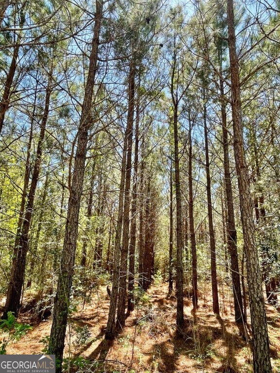 Americus Real Estate Listings Main Image