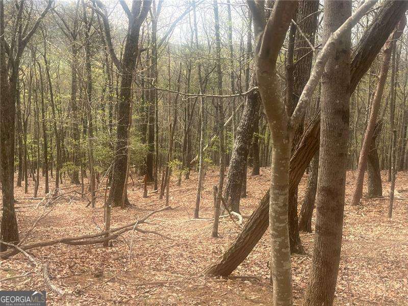 0 Bee Tree Ridge Property Photo 1